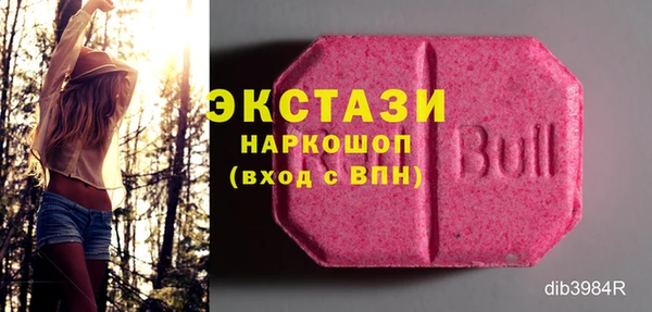 ешки Гусев