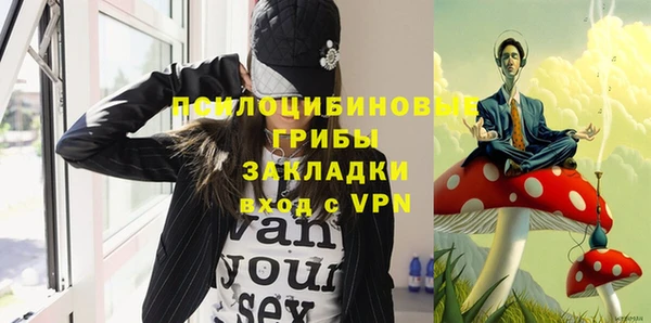 ГАЛЛЮЦИНОГЕННЫЕ ГРИБЫ Горнозаводск